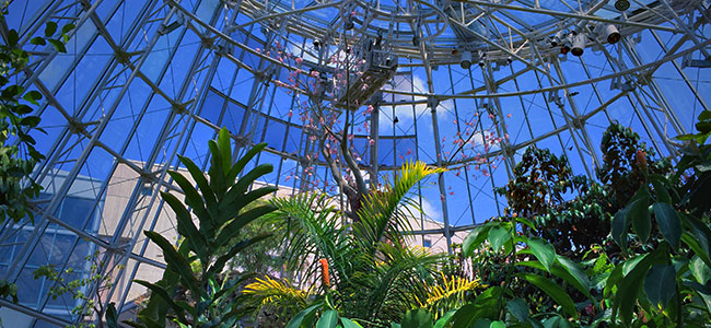 Interior of the Butterfly Center
