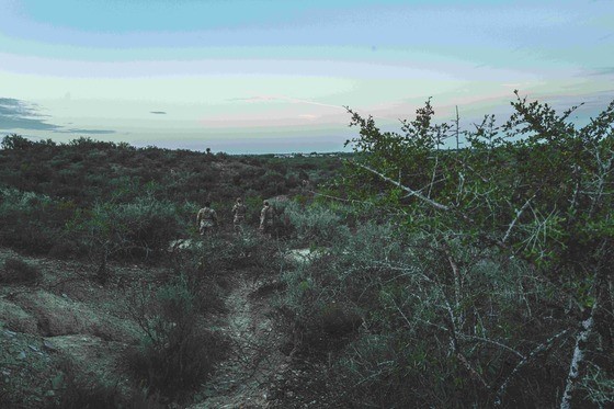 Operation Lone Star Arrest Drug, Human Smugglers In Texas Image